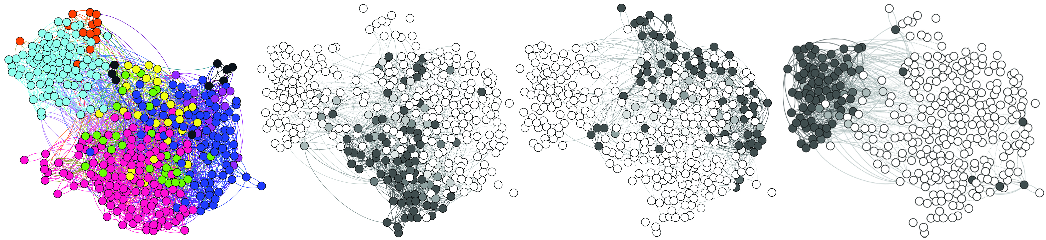 Networks of membership in four types of social communities for each node.