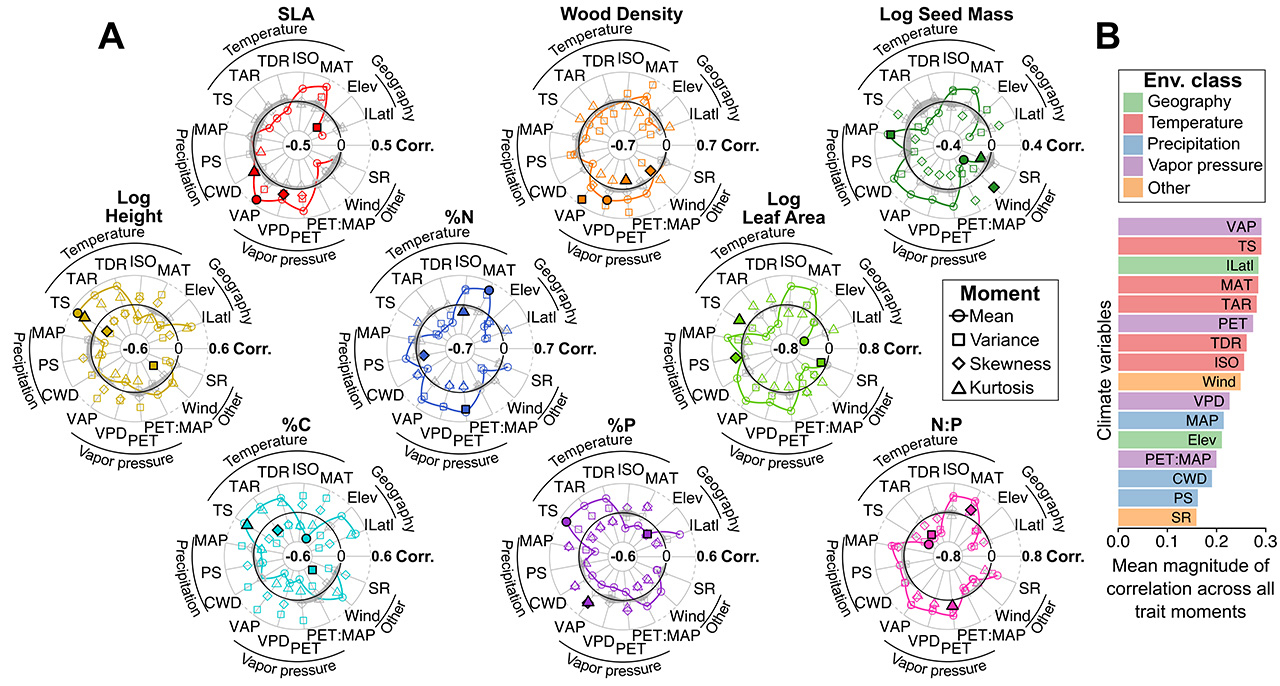 Fig. 2 Relationships between the community-weighted moments of individual traits and all environmental variables across all forests. (A) Radar plots showing all trait moment–environment correlations. Each symbol represents a different trait moment, and its position along the radial axis indicates the strength of correlation between that moment and a given environmental variable. The solid black line represents zero correlation, the region inside (outside) this line represents negative (positive) correlations. Gray shading represents nonsignificant correlations. Filled shapes highlight the environmental variables that are most strongly correlated with each of the four trait moments. (B) Mean magnitudes (absolute values) of all significant correlations between all trait moments and each environmental variable. Environmental variables are abbreviated as follows: absolute value of latitude (jLatj), elevation (Elev), mean annual temperature/precipitation (MAT/MAP), isothermality (ISO), temperature diurnal range (TDR), temperature annual range (TAR), temperature/precipitation seasonality (TS/PS), climate water deficit (CWD) vapor air pressure (VAP), vapor pressure deficit (VPD), potential evapotranspiration (PET), wind velocity (Wind), and solar radiation (SR).