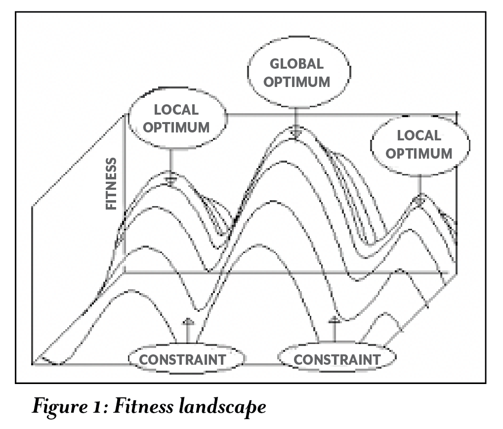 Figure 1: Fitness Landscape